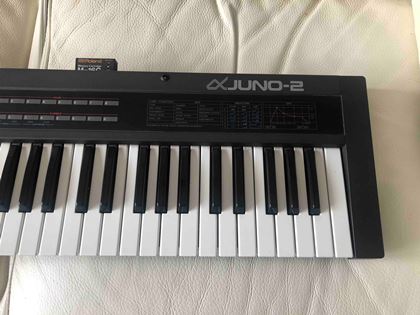Roland-Alpha Juno 2 and M16-C